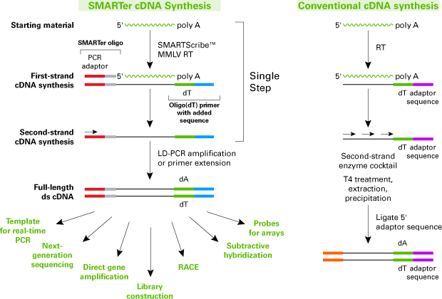 Smarter Cdna Synthesis Kits